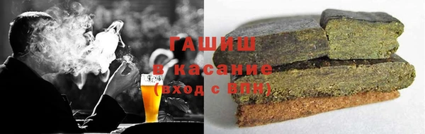 мдпв Каменка