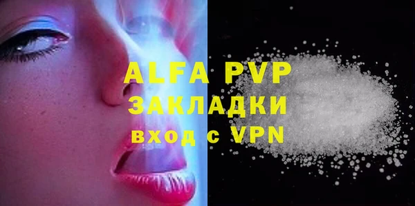 мдпв Каменка