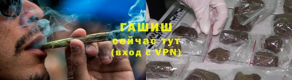 мдпв Каменка