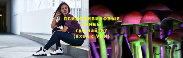 МДПВ Каменск-Шахтинский