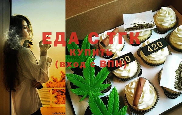мдпв Каменка