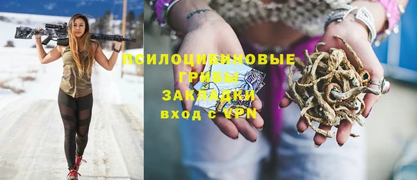 МДПВ Каменск-Шахтинский