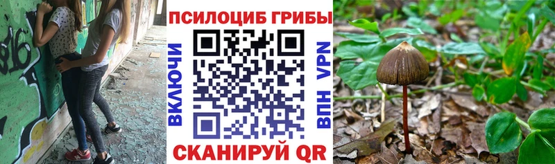 Купить  Малмыж  Псилоцибиновые грибы Psilocybe 